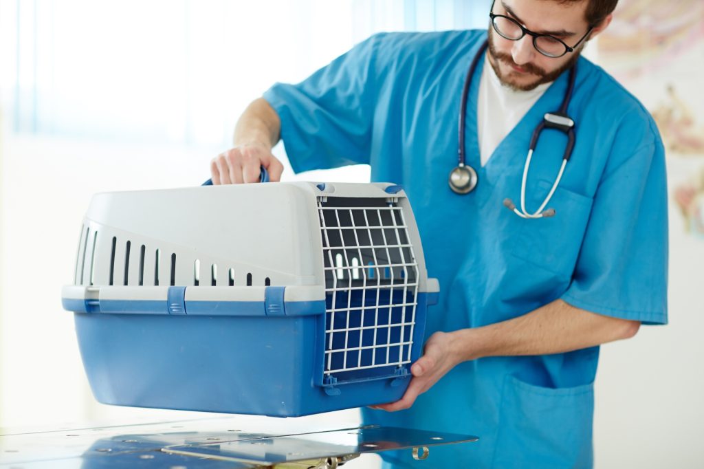 carrier-with-pet.jpg