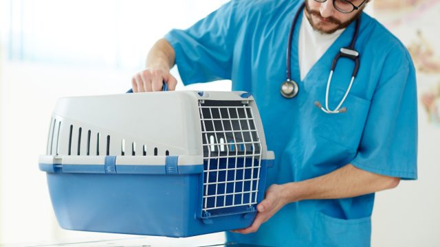 carrier-with-pet.jpg