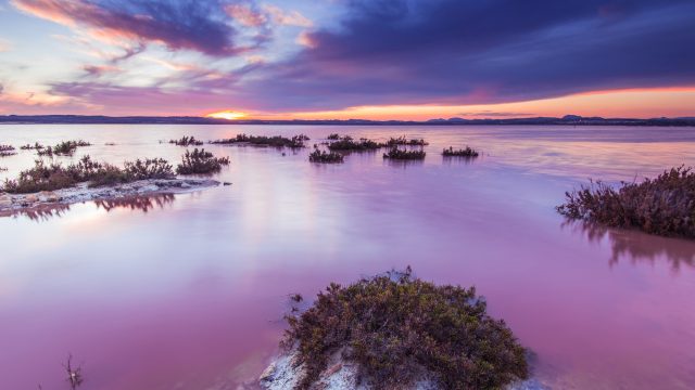 laguna-salada-in-torrevieja-spain-salted-lake-at-sunset-.jpg