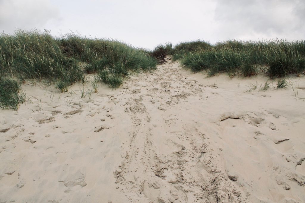 sand-dunes.jpg