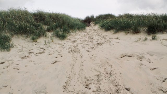 sand-dunes.jpg
