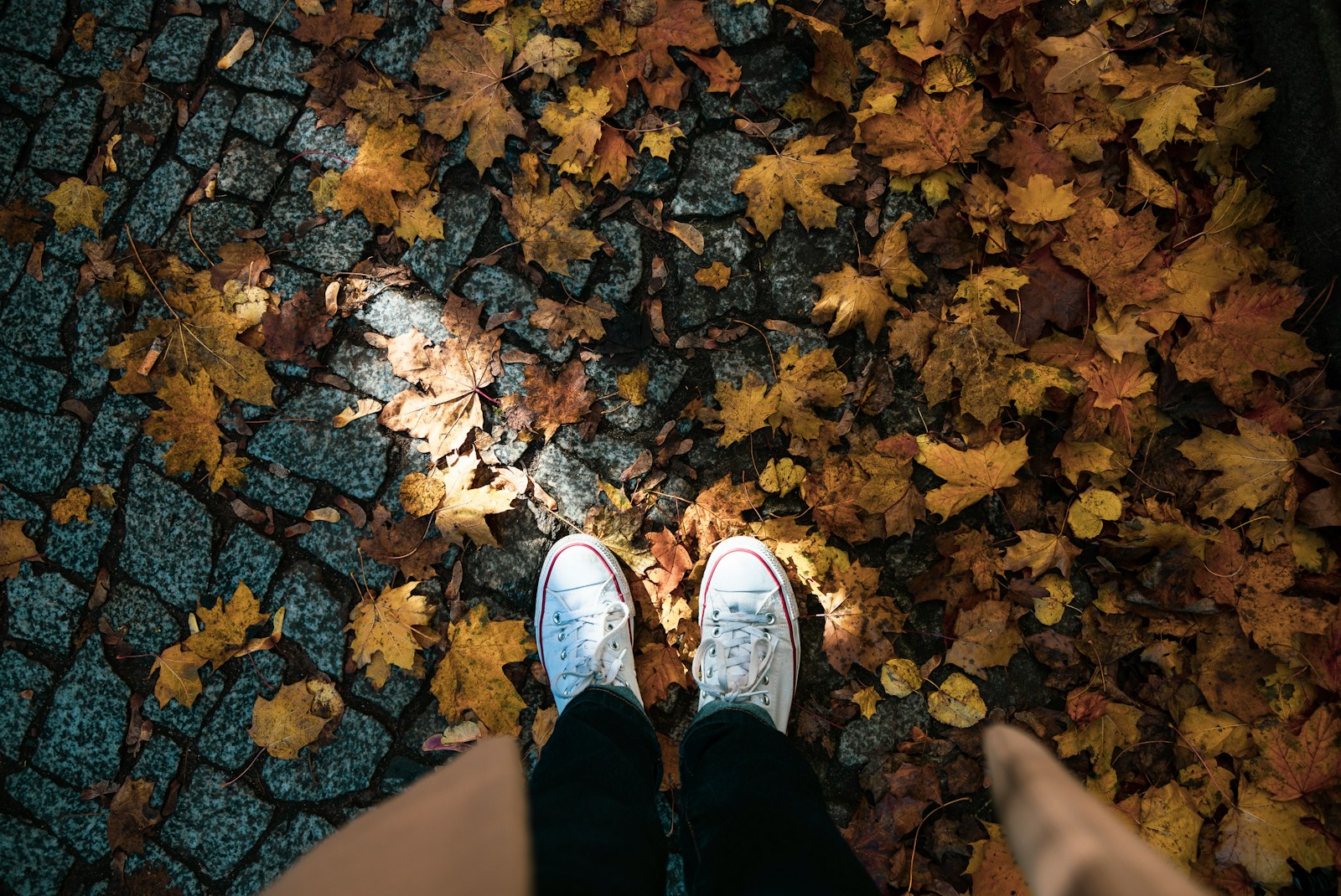 person wearing pair of white sneakers