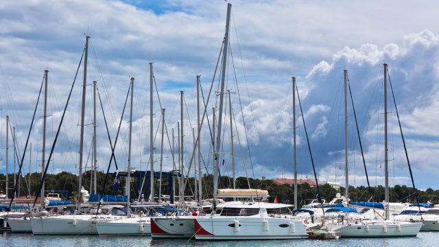 yachts-in-marina.jpg